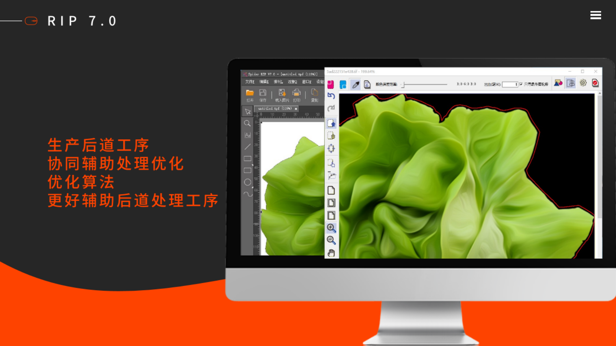 秋霞鲁丝片Av无码少妇